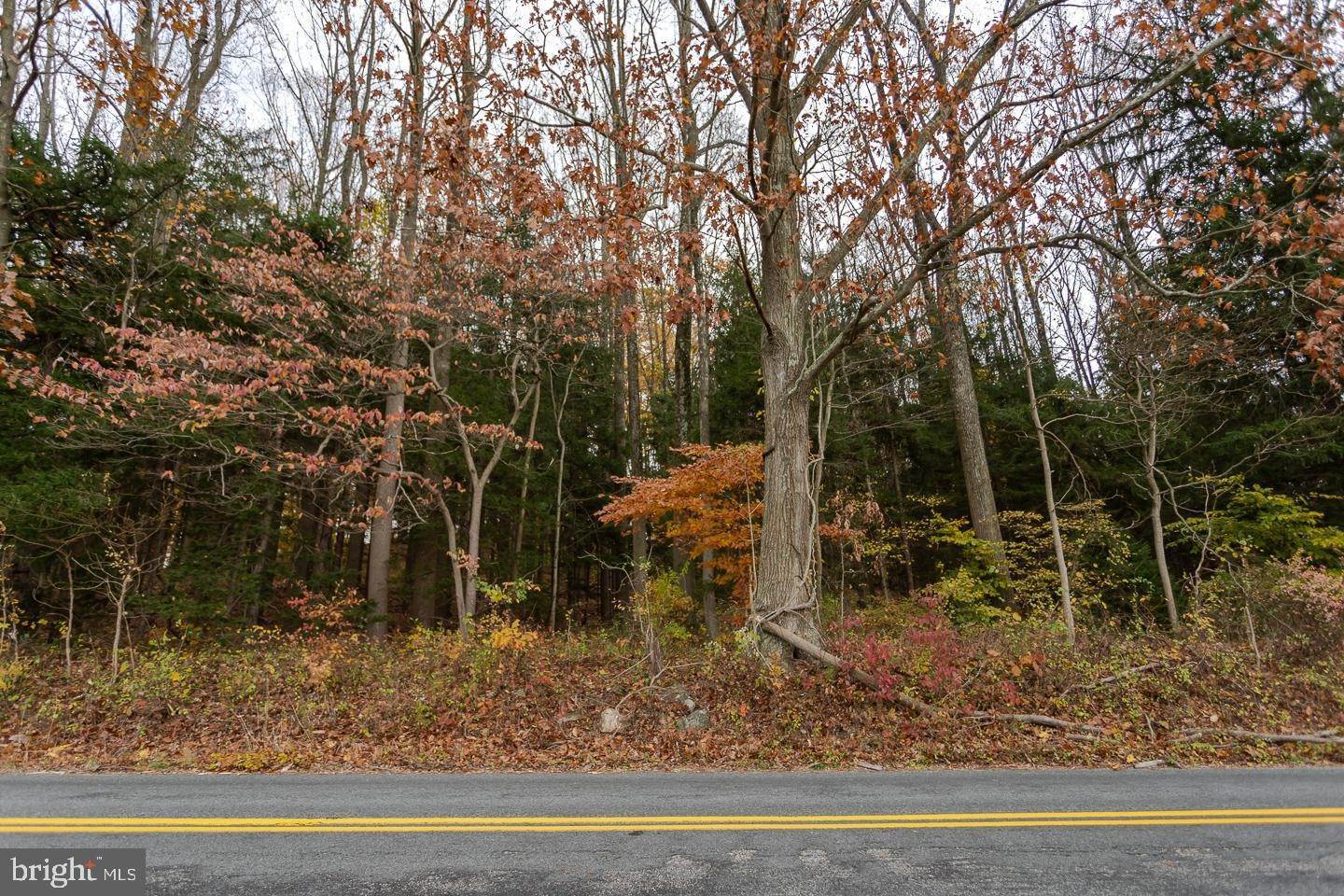 Land for Sale at 3046 MERLIN Road Malvern, Pennsylvania 19355 United States