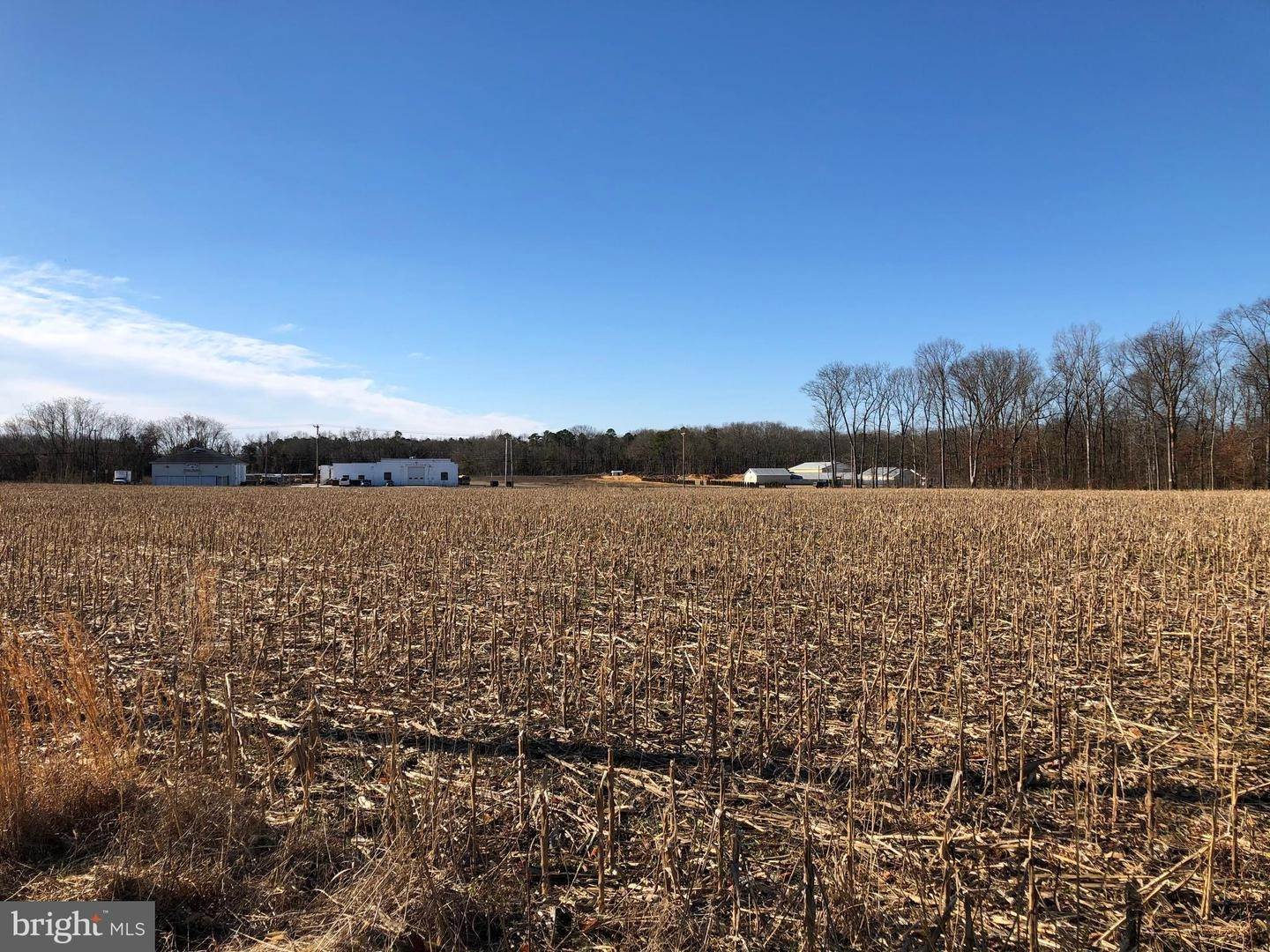 Land for Sale at 1444 HARDING HIGHWAY Franklinville, New Jersey 08322 United States
